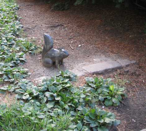 bronze squirrel